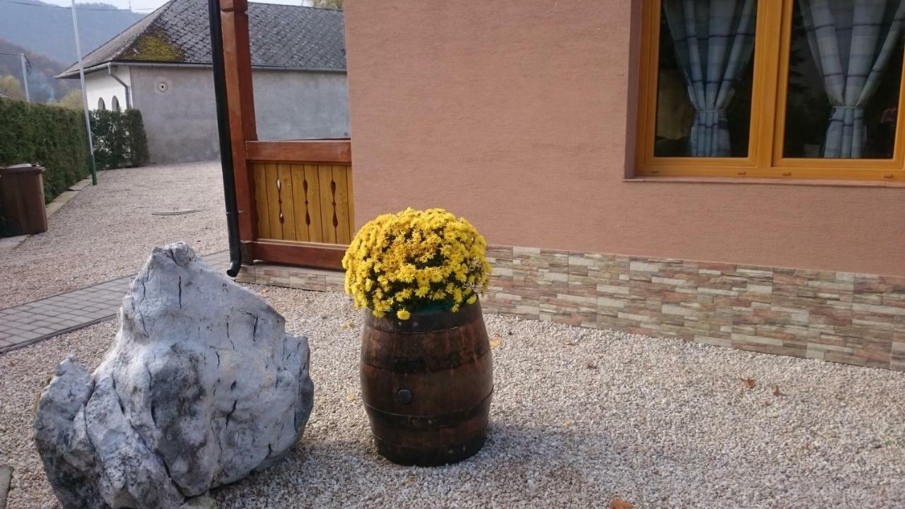 Penzion Vian Krasnohorska Dlha Luka Экстерьер фото
